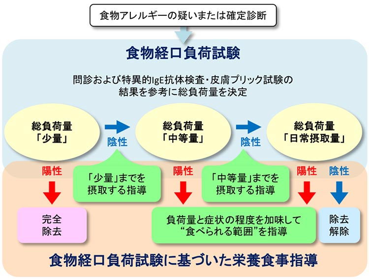 図:「食物アレルギー の栄養食事指導の手引き2017」より